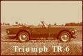 View Triumph TR restorations at Piet mozes